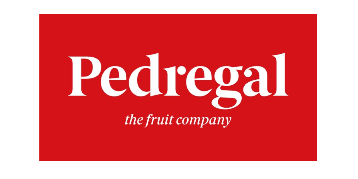 Pedregal